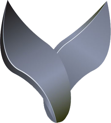 Areviews