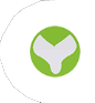 Areviews